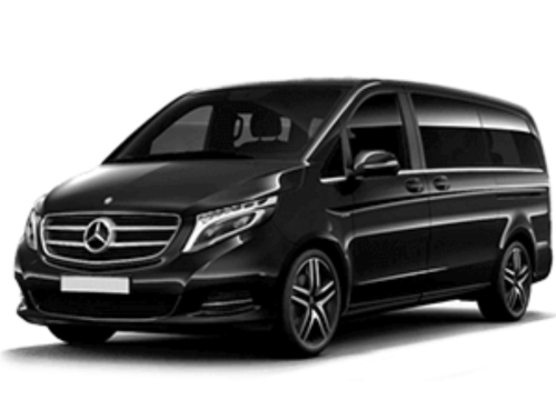 Mercedes Viano
